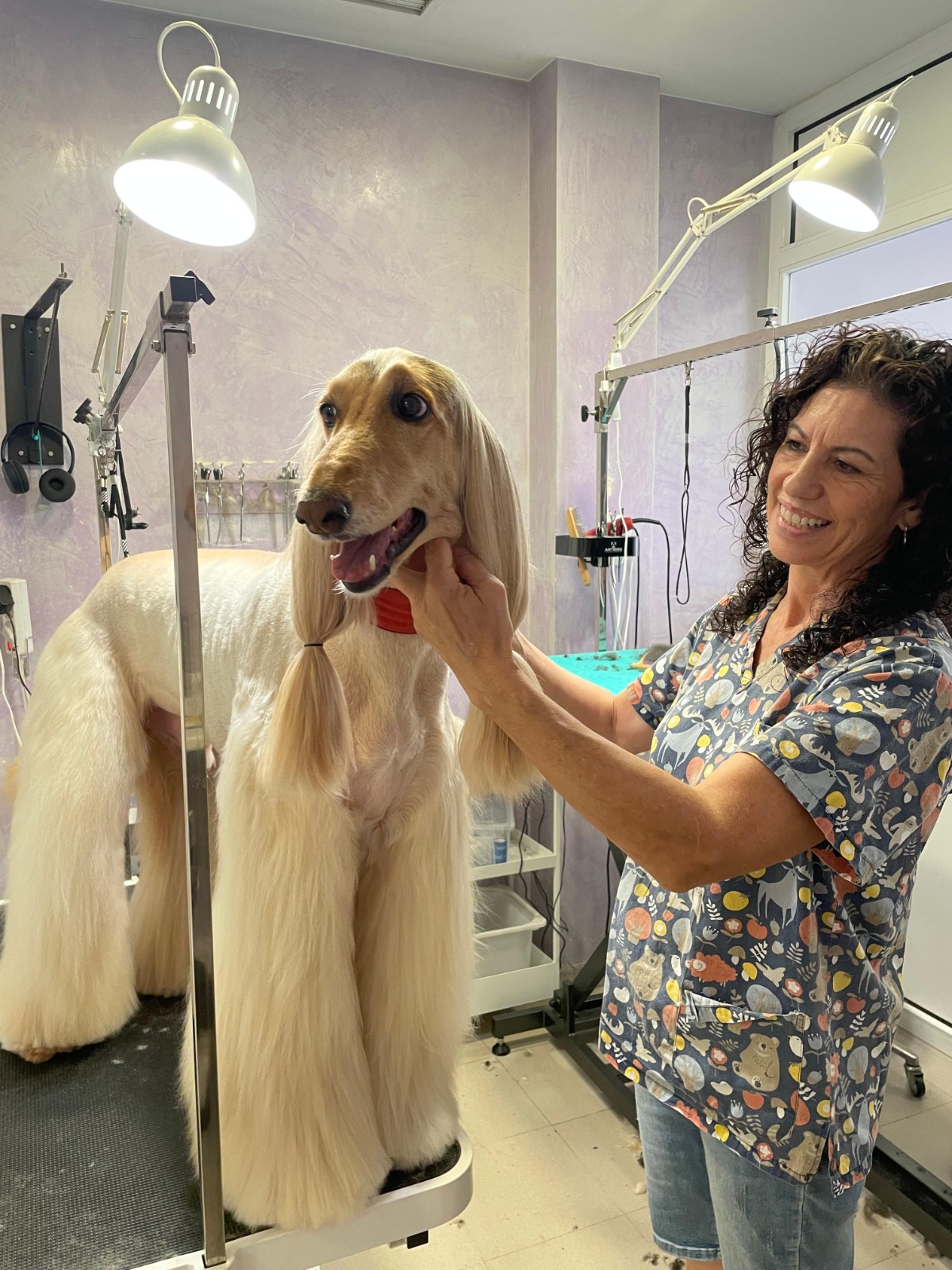 Trabajo de peluquería canina en Can Nora