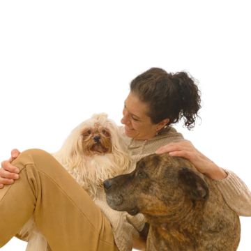 Trabajo de peluquería canina en Can Nora