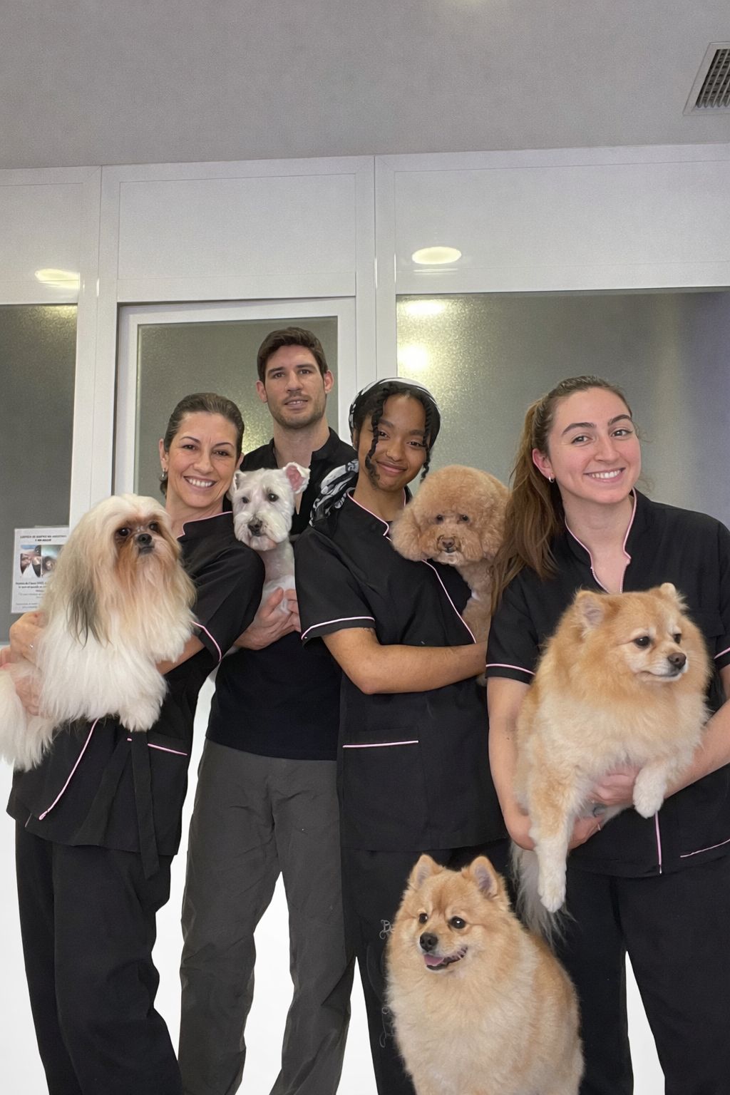 Trabajo de peluquería canina en Can Nora