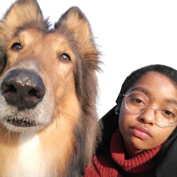 Trabajo de peluquería canina en Can Nora